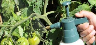 Jo bedre at behandle tomater fra pulveriseret mug