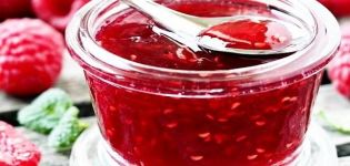 Ang recipe para sa paggawa ng seedless raspberry jam para sa taglamig