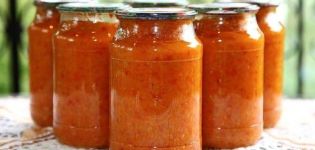 TOP 9 Rezepte zum Kochen von Kürbiskaviar mit Tomaten für den Winter
