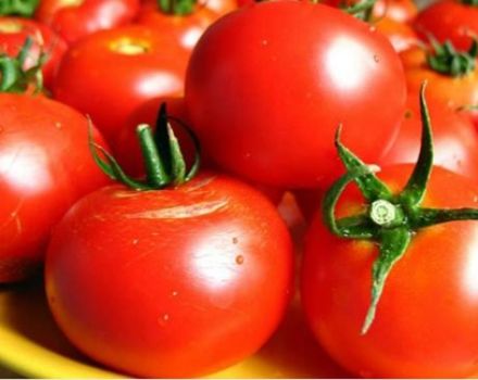 Quando piantare pomodori per piantine in Ucraina nel 2020