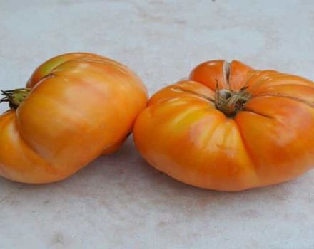 Descrizione della varietà di pomodoro Sidro estivo, coltivazione e cura