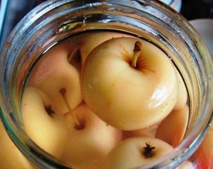 TOP 2 recepta za pravljenje kompota od jabuke s cimetom za zimu