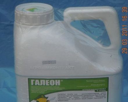 Instrucciones de uso del herbicida Galleon, mecanismo de acción y tasas de consumo