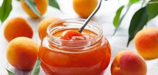 Das Rezept für entkernte Aprikosen-Fünf-Minuten-Marmelade für den Winter