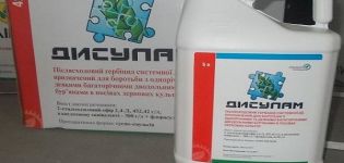 Mga tagubilin para sa paggamit ng herbicide Disulam, mekanismo ng mga rate ng pagkilos at pagkonsumo