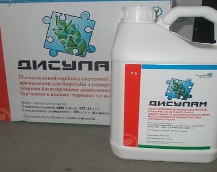 Instructions for the use of herbicide Disulam, mechanism of action and consumption rates