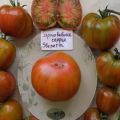 Beschrijving van het roestige hart van de tomatensoort Everett en zijn kenmerken