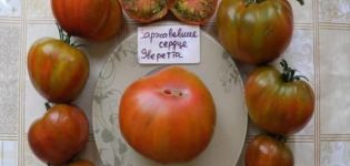 Description of the tomato variety Everett's rusty heart and its characteristics