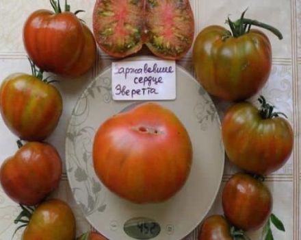 Mô tả về giống cà chua Everett có trái tim bị gỉ và đặc điểm của nó