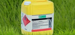 Instrucciones de uso y principio de funcionamiento del herbicida Treflan, tasas de consumo.