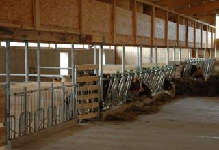 Project and drawings of a cowshed for 10 heads, how to build a farm with your own hands