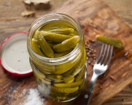 Hoe ingelegde komkommers met mosterdzaad en kurkuma te bereiden voor de winter- en opslagregels