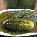 A simple recipe for pickling cucumbers in grape leaves for the winter