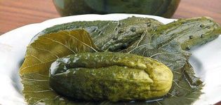 Jednoduchý recept na morenie uhoriek v hroznových listoch na zimu
