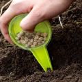 Come e quando piantare correttamente i semi di piselli in piena terra