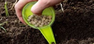 Açık toprağa tohumlarla bezelye nasıl ve ne zaman ekilir