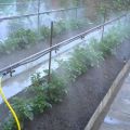 Do-it-yourself automatic greenhouse watering system