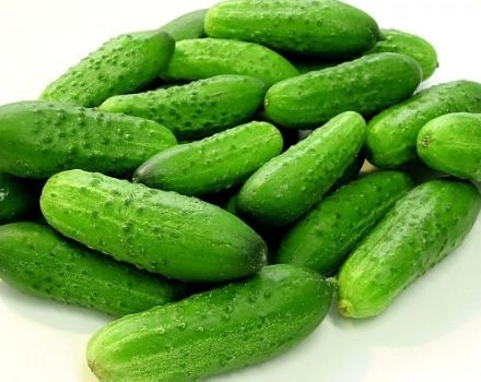 Beschrijving van de variëteit Serpentine-komkommer, de teelt en de kenmerken ervan