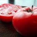 Characteristics and description of the Katya tomato variety, its yield