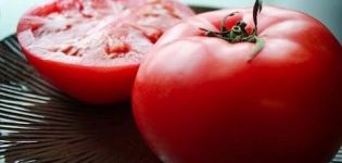Egenskaber og beskrivelse af Katya-tomatsorten, dens udbytte