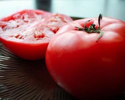 Kenmerken en beschrijving van de tomatenvariëteit Katya, de opbrengst