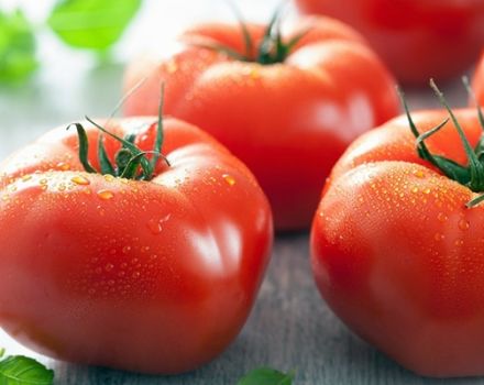 Çilek Tatlısı domates çeşidinin özellikleri ve tanımı, verimi