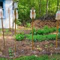 How to make a do-it-yourself drip irrigation system for cucumbers in a greenhouse and open field