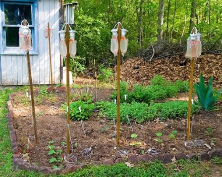 Sådan fremstilles et gør-det-selv drypp irrigationssystem til agurker i et drivhus og åbent felt