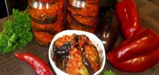 TOP 10 best step-by-step recipes for making mother-in-law's tongue from eggplant for the winter