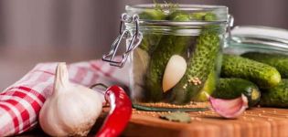 TOP 10-recept för inlagda gurkor med senapsfrön för vintern, med och utan sterilisering