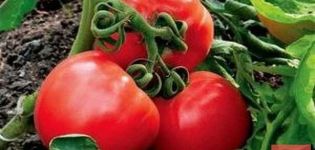Περιγραφή της ποικιλίας ντομάτας Igranda και των χαρακτηριστικών της