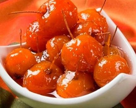 8 einfache Rezepte für die Herstellung von transparenter Paradies-Apfelmarmelade mit Schwänzen für den Winter