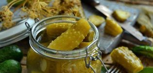 TOP 6 recipes for cooking pickled cucumbers in jars in a cold way for the winter