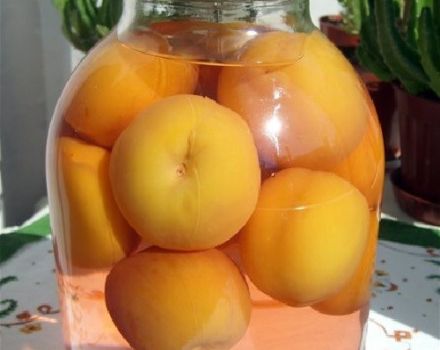 Recept för att göra persikakompott utan sterilisering för vintern