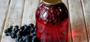Recetas sencillas para hacer compota de uva para el invierno en casa en un tarro de 3 litros