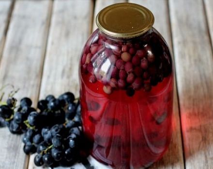 Enkle opskrifter til fremstilling af druekompott til vinteren derhjemme på en 3-liters krukke