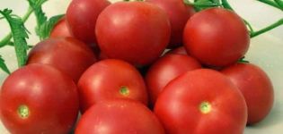Descripción de la variedad de tomate Generosidad, características de cultivo y rendimiento.