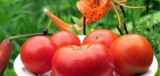 Tomaattilajikkeen Sibiryak, Sibiryachok ja Mamin Sibiryak ominaisuudet ja kuvaus, sato