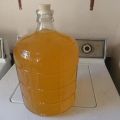 9 simple recipes for making sea buckthorn wine at home