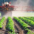A herbicidek használati utasításai és hatásspektrumuk, fajták és a legmegfelelőbbek leírása