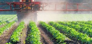 Pokyny na použitie a spektrum účinku herbicídov, odrôd a opis najlepších