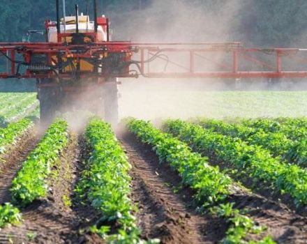 Brugsanvisning og spektrum af virkning af herbicider, sorter og beskrivelse af det bedste
