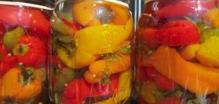 The best step-by-step recipe for pickled whole peppers for the winter