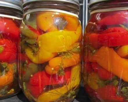 Das beste Schritt-für-Schritt-Rezept für eingelegte ganze Paprika für den Winter