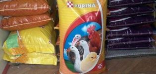 Pravidla pro krmení krmné směsi Purina pro kuřata brojlerů