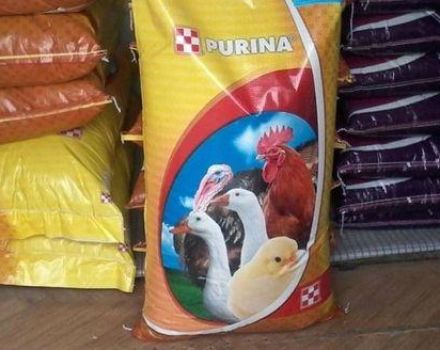 Rules for feeding Purina compound feed for broiler chickens