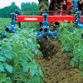 Types of cultivators for inter-row tillage and how to make them yourself