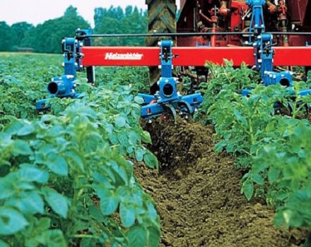 Types of cultivators for inter-row tillage and how to make them yourself