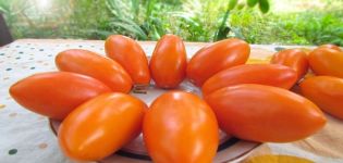 Описание на сорта домат Елиша и неговите характеристики