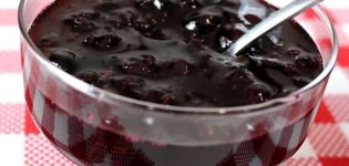 TOP 3 recipes for making sugar-free currant jam for the winter